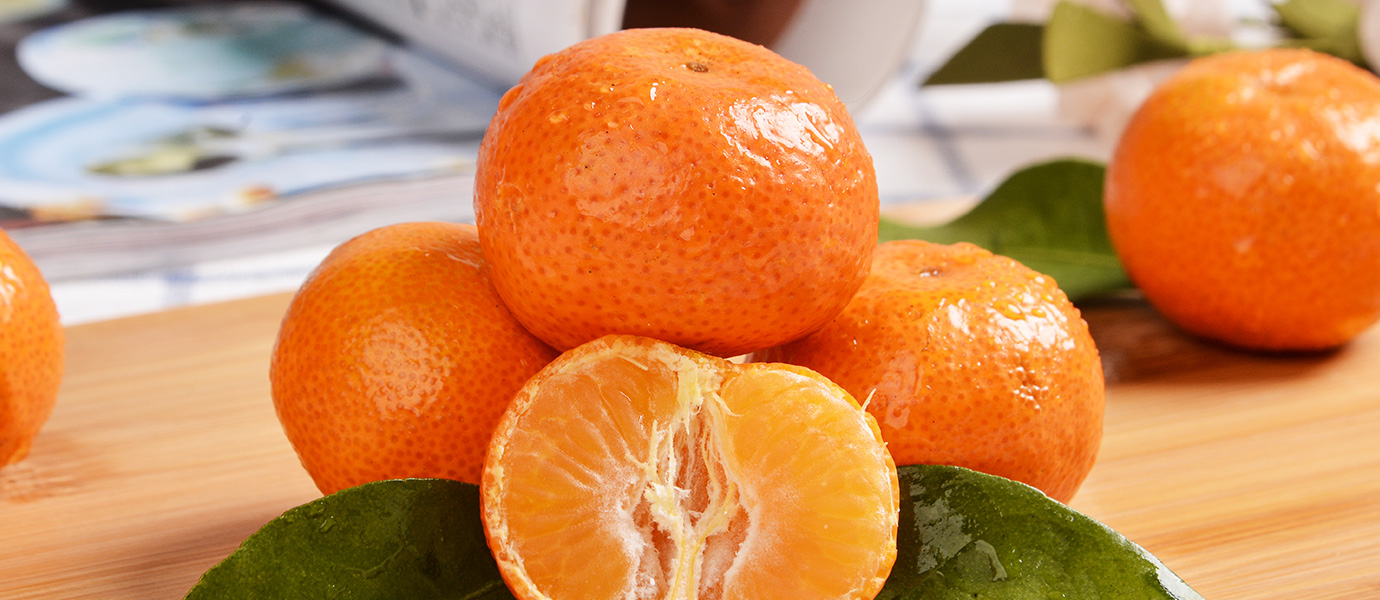 柑橘系列